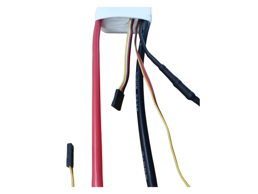 Flier ESC 12S 200A Continuous Current RC Boat ESC PC Support Sensorless Brushless Motor